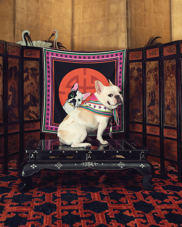 The dog is the 11th sign in the Chinese zodiac (this picture originally appeared in the February issue of #legend)