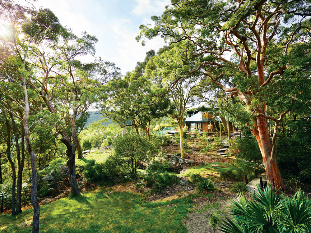 The property rests on a hillside in the bush