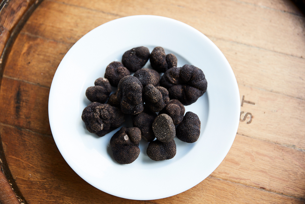 First cut truffles, the finest of the season's yield 