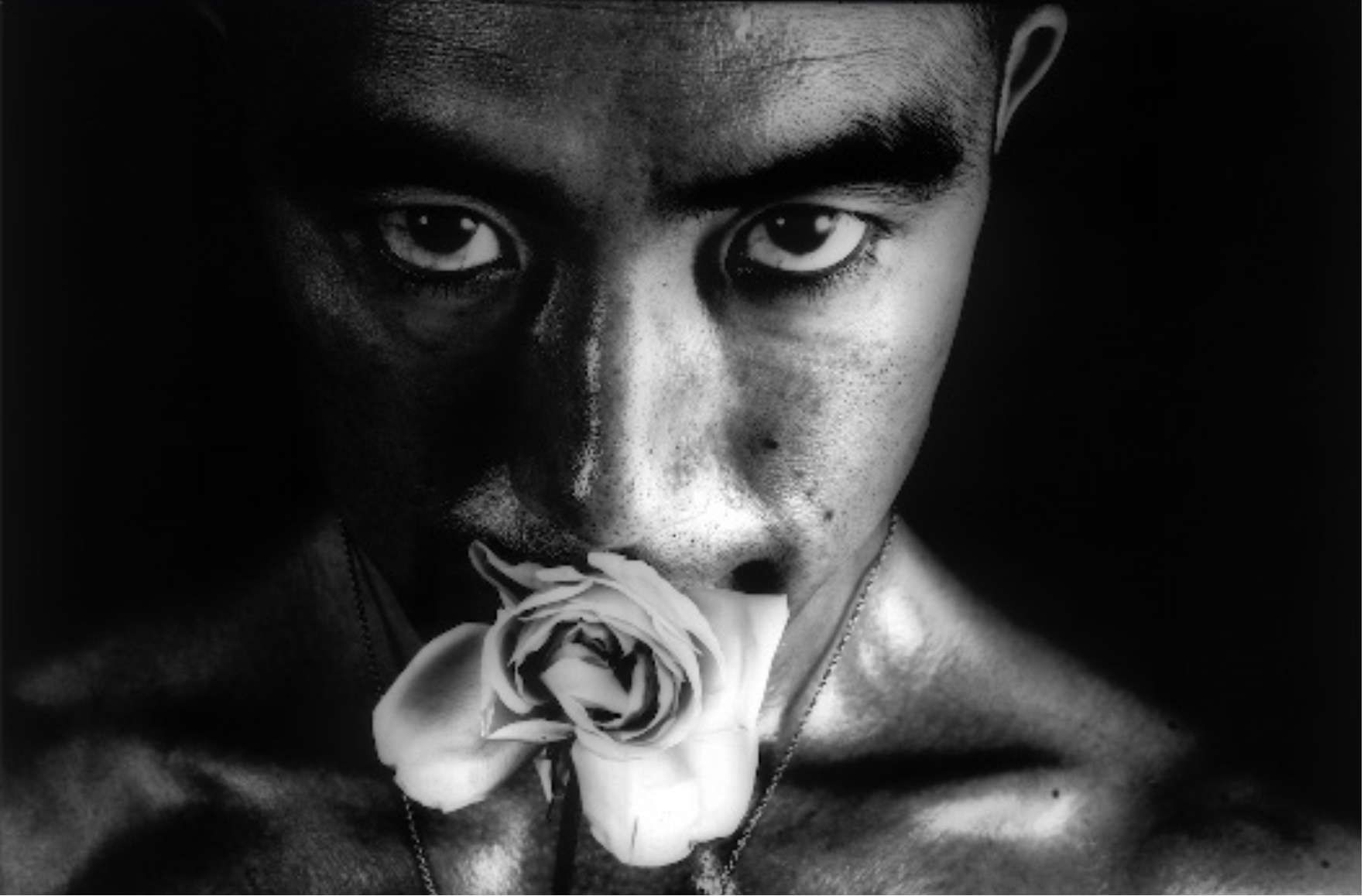 Eikoh Hosoe, Rose Penalty, 1961, gelatin silver print, 139 x 94.5 cm. Courtesy of see+ Gallery