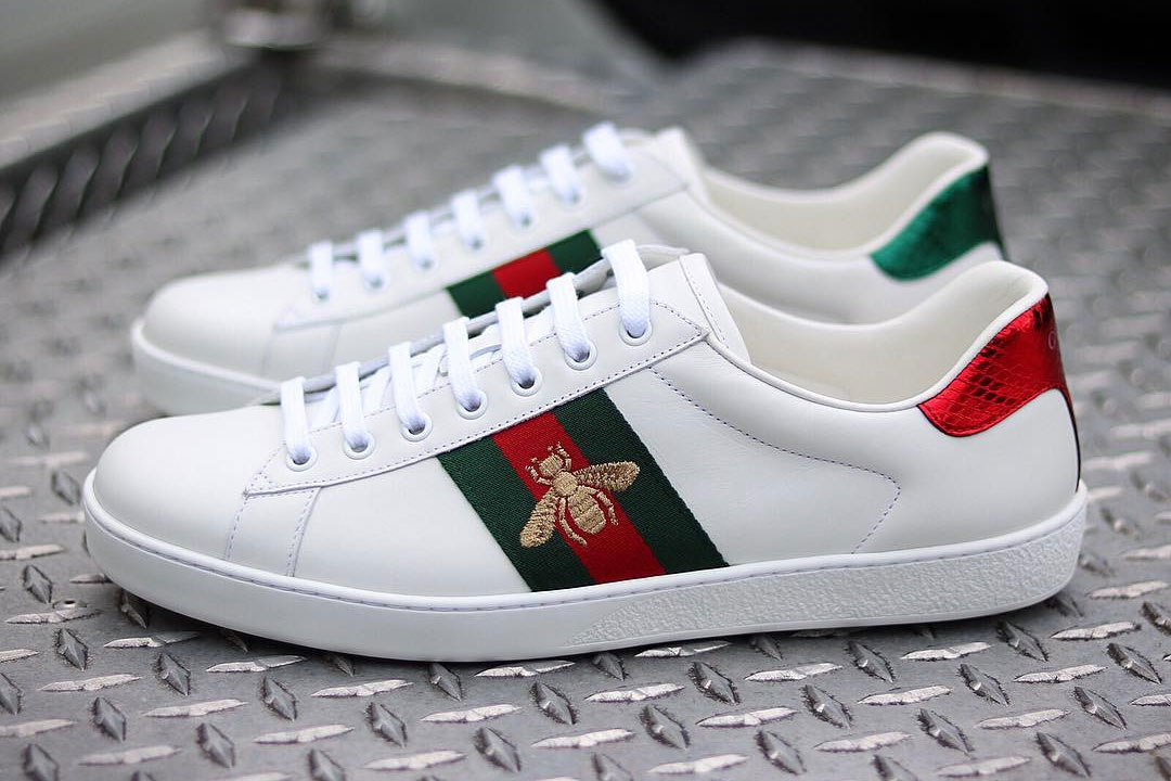 gucci ace fly