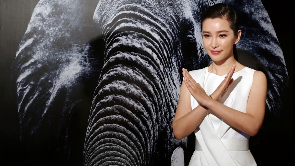 Actress Li Bingbing attending a Hong Kong ivory trade ban press conference (Photo: Jonathan Wong)