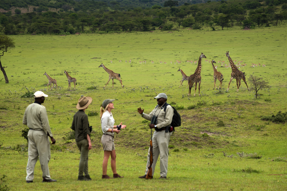 Conservation concerns and creature comforts strike the right balance at AndBeyond’s camps