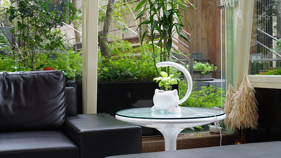 GrowGreen's mini indoor hydroponic plant pot