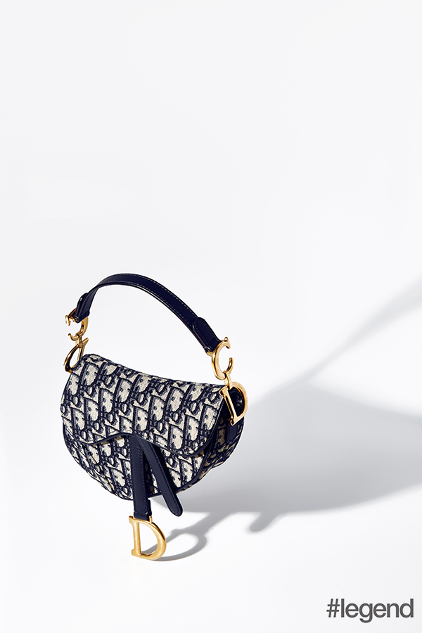 Saddle bag_Dior