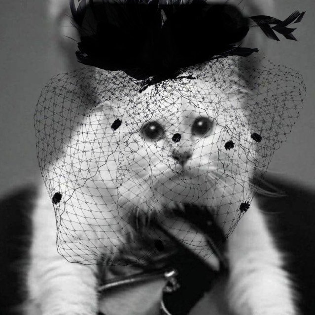 Choupette Lagerfeld wears only the finest mourning gear