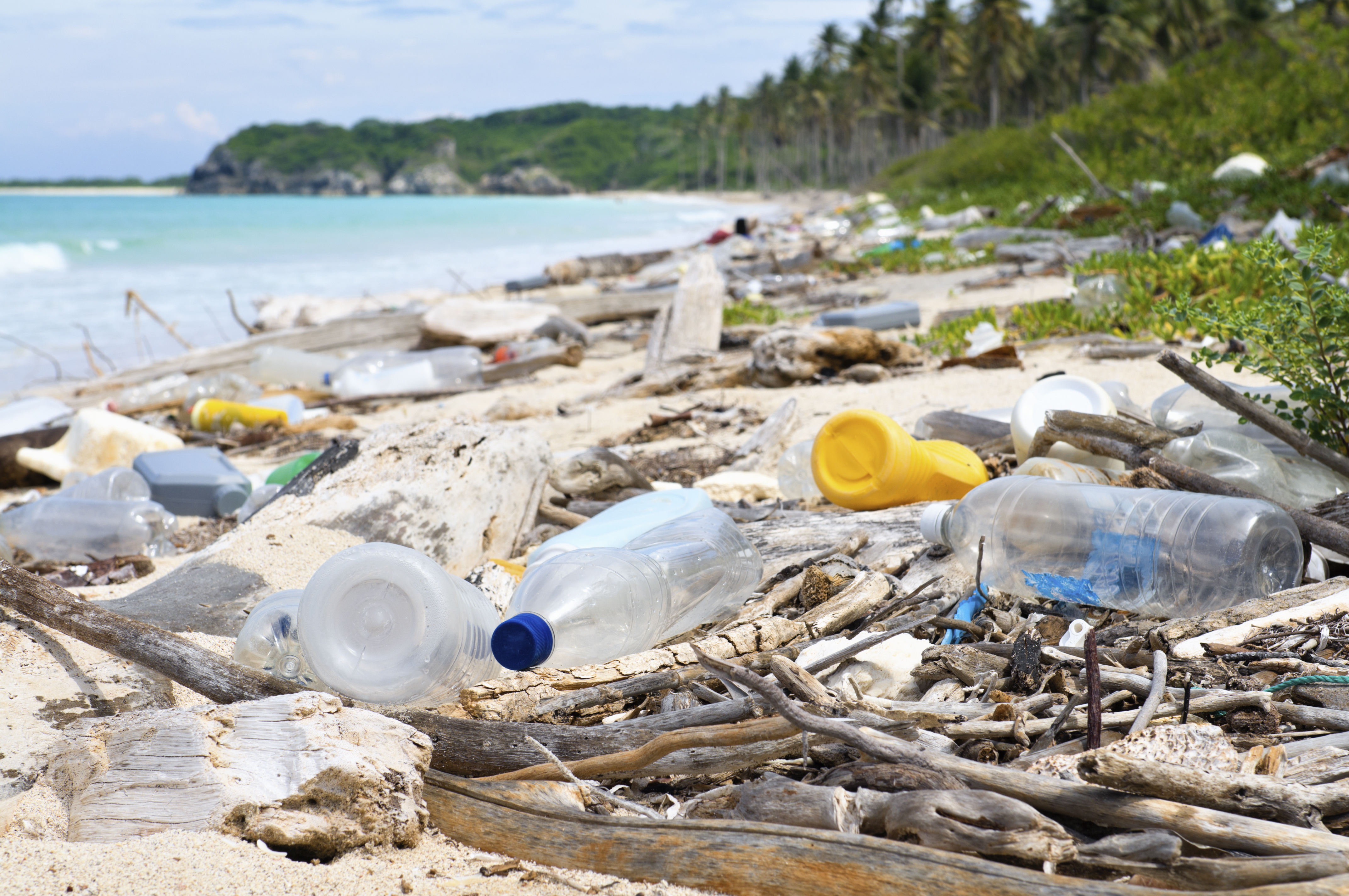 Dumping on a tropical beach (photo: courtesy of National Geographic)