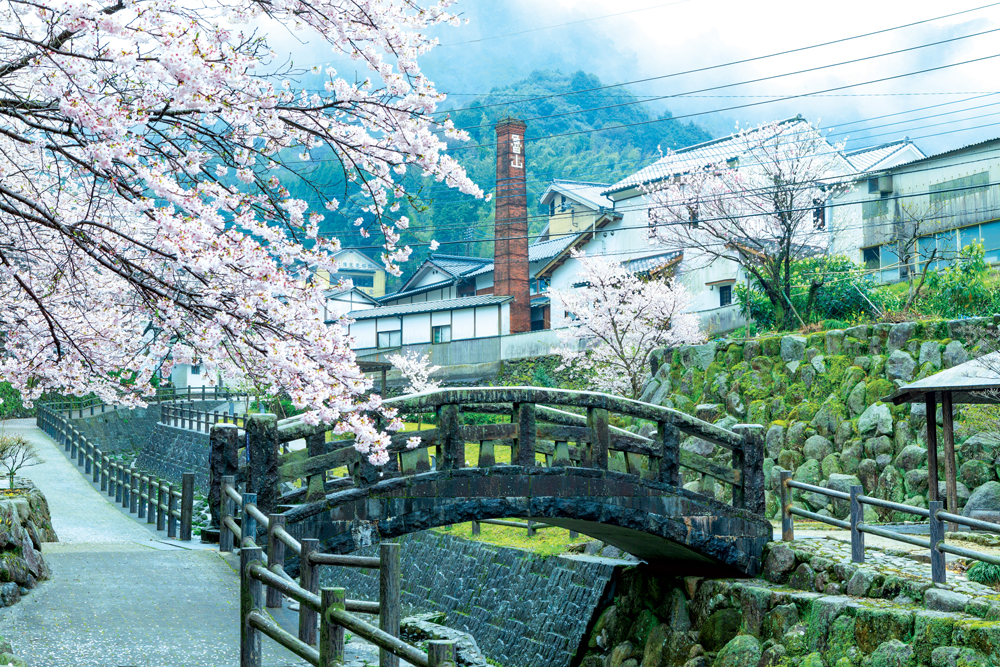 A Food Lover's Guide to Fukuoka — Hashtag Legend