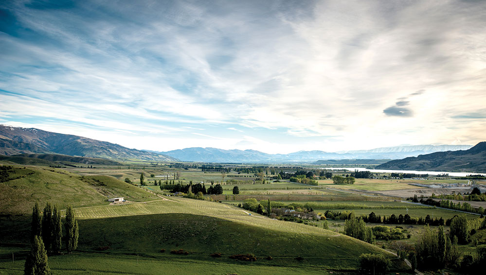 Domaine-Thomson’s vineyard in Central Otago, New Zealand (Credit: Tim Hawkins)