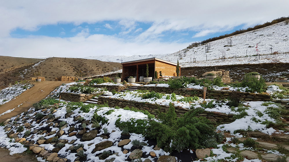 The prep shed and terrace garden in Otago (Credit: Kate Barnett)