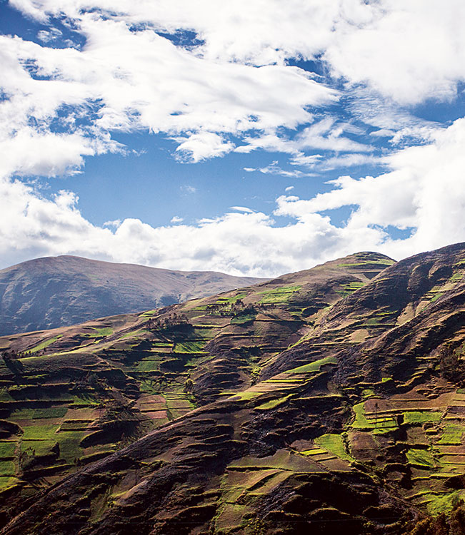 The most biodiverse landscape