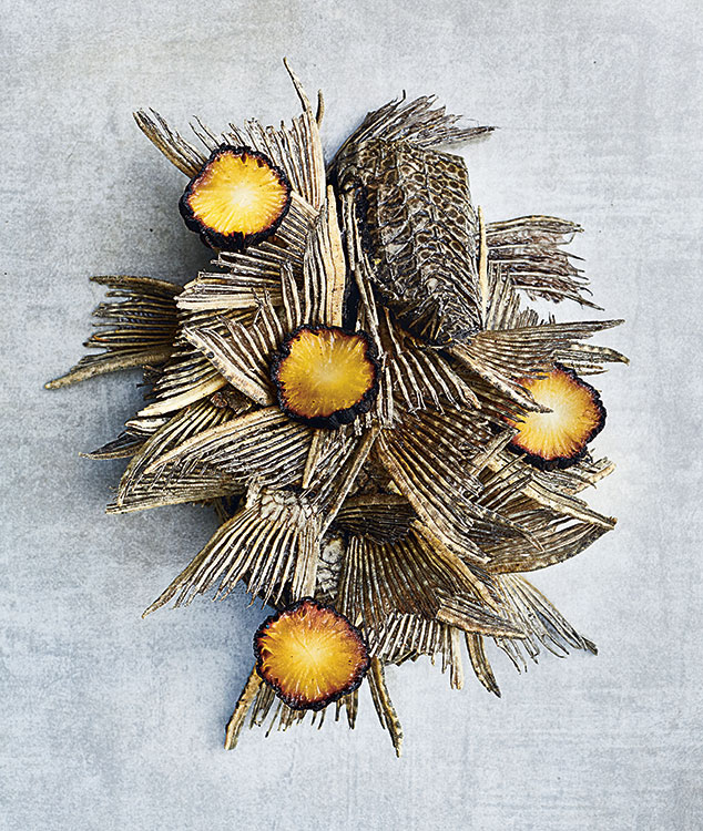 Carachama y Yacon, an armoured freshwater fish served with sliced plant root