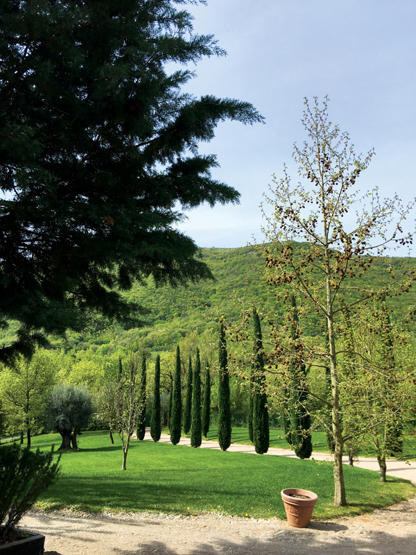 Cypress trees flank the driveway