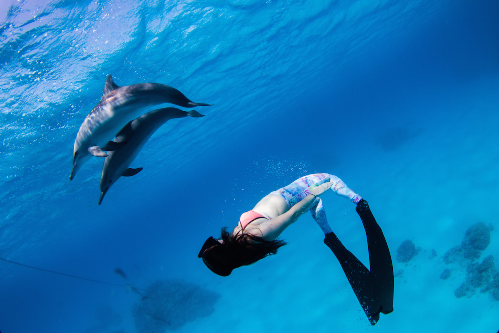 Freediving in Marsa Alam, Egypt. 