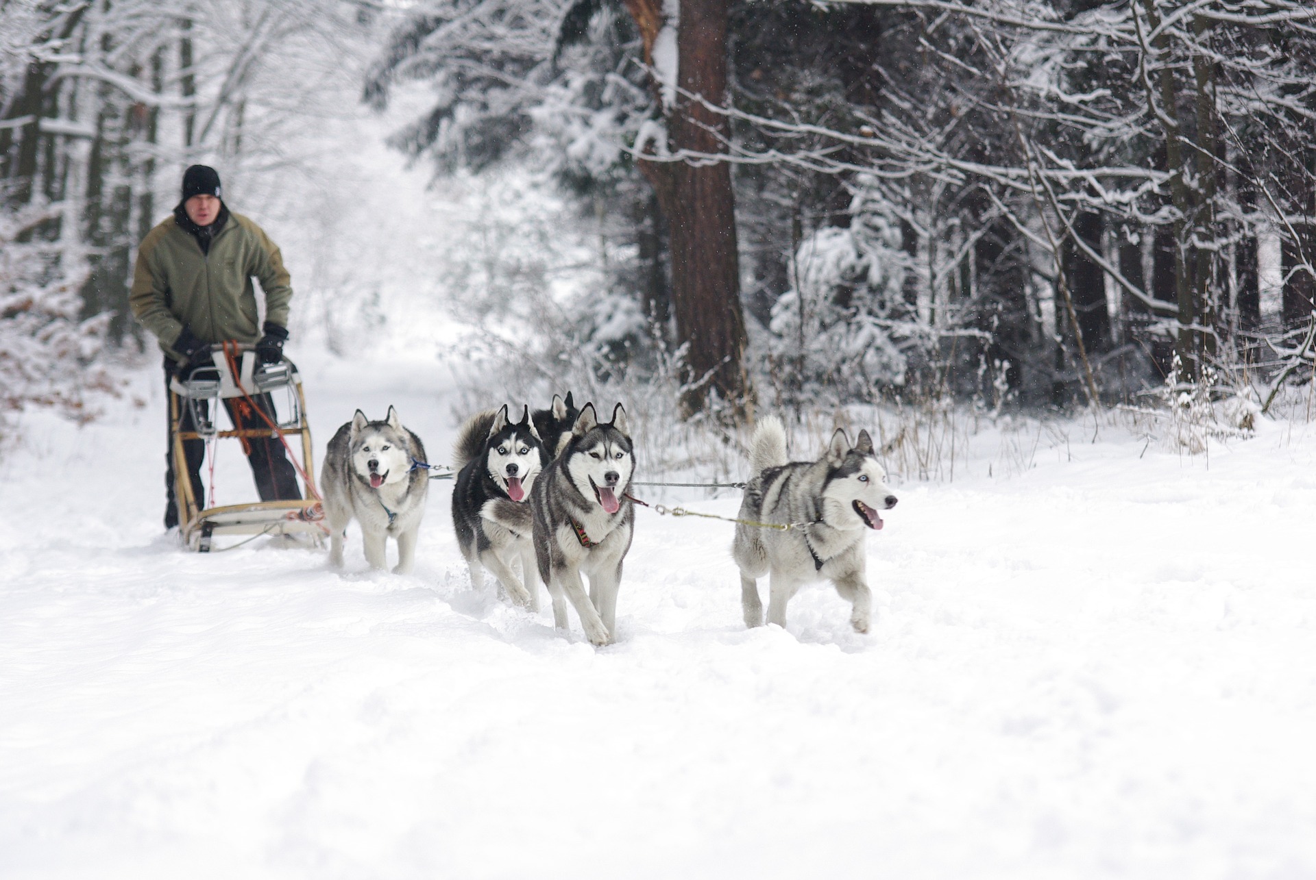 Make the most of the winter in Helsinki