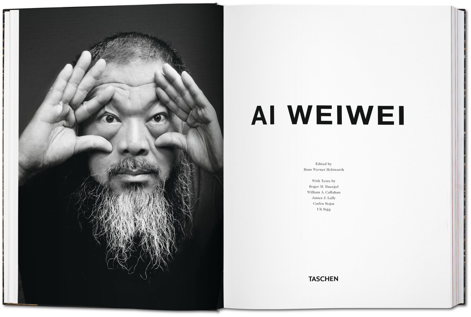 Ai Weiwei by Taschen books