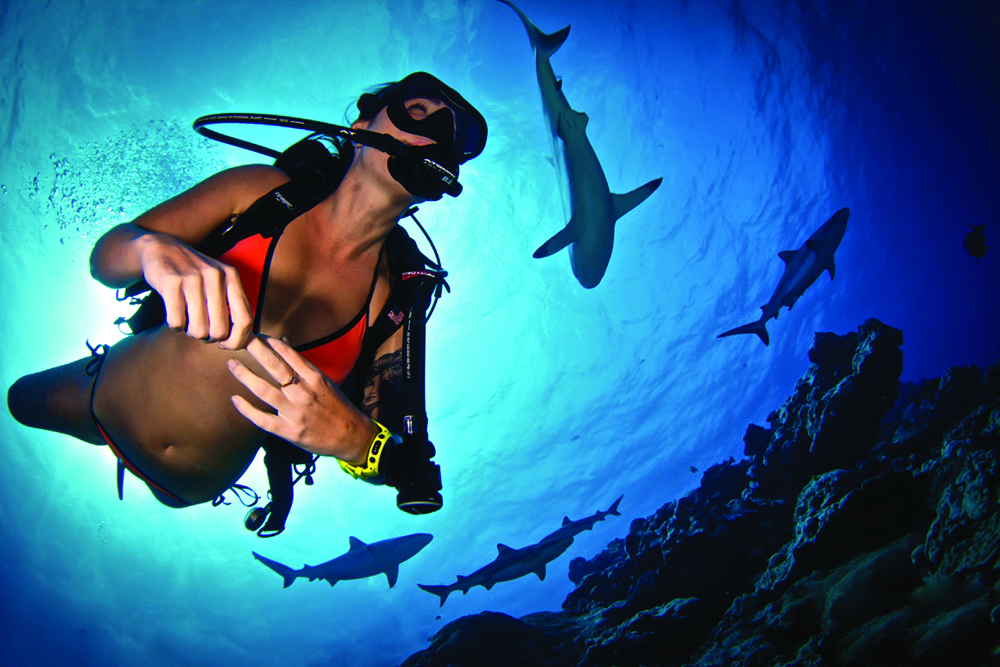 Underwater life around Yap in Micronesia. 