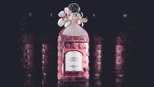 Guerlain launching the Cherry Blossom Millésime collection