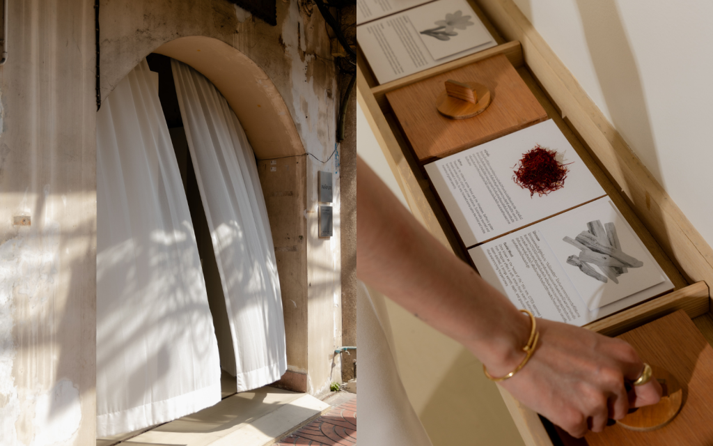 2025 Lifestyle Recap