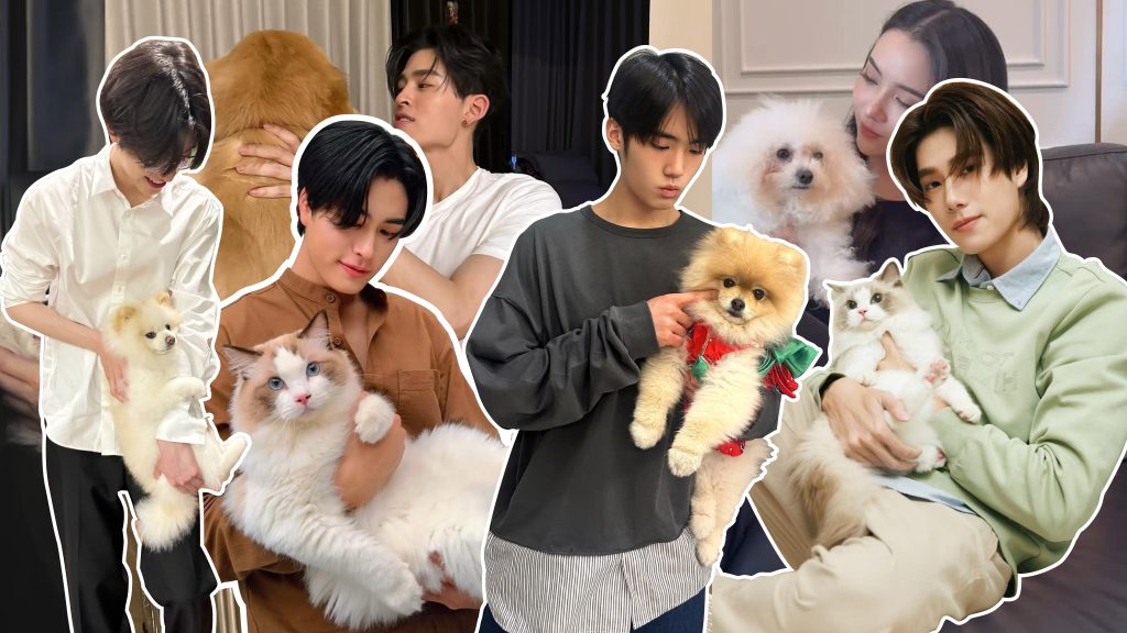 Celebrity Pets