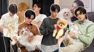 Celebrity Pets