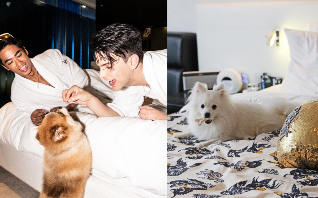โรงแรม Pet-friendly