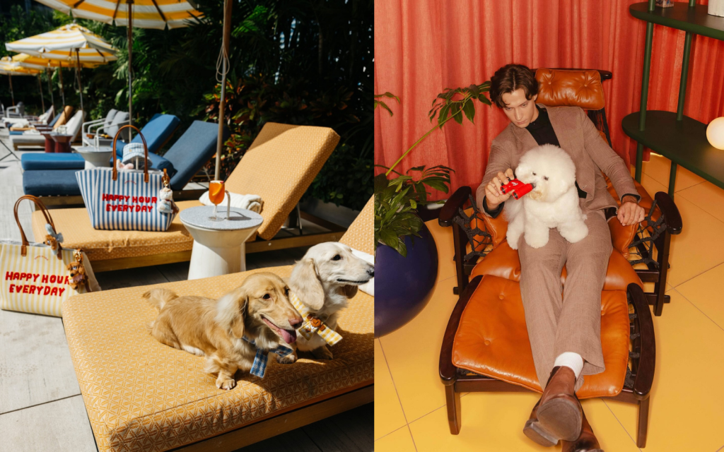 โรงแรม Pet-friendly