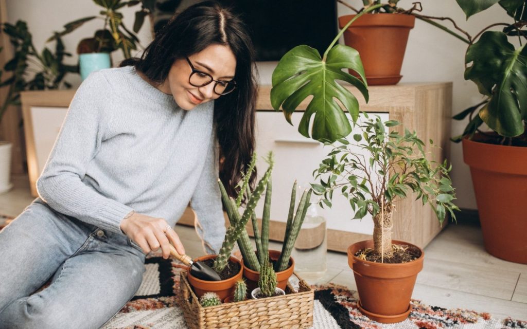 วิกฤตพลังงาน