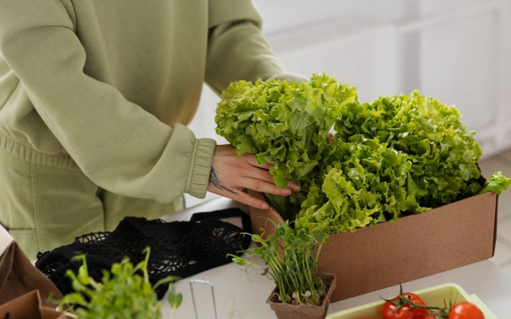 วิกฤตพลังงาน