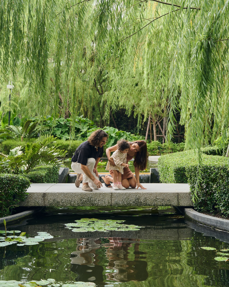 Urban Sanctuaries