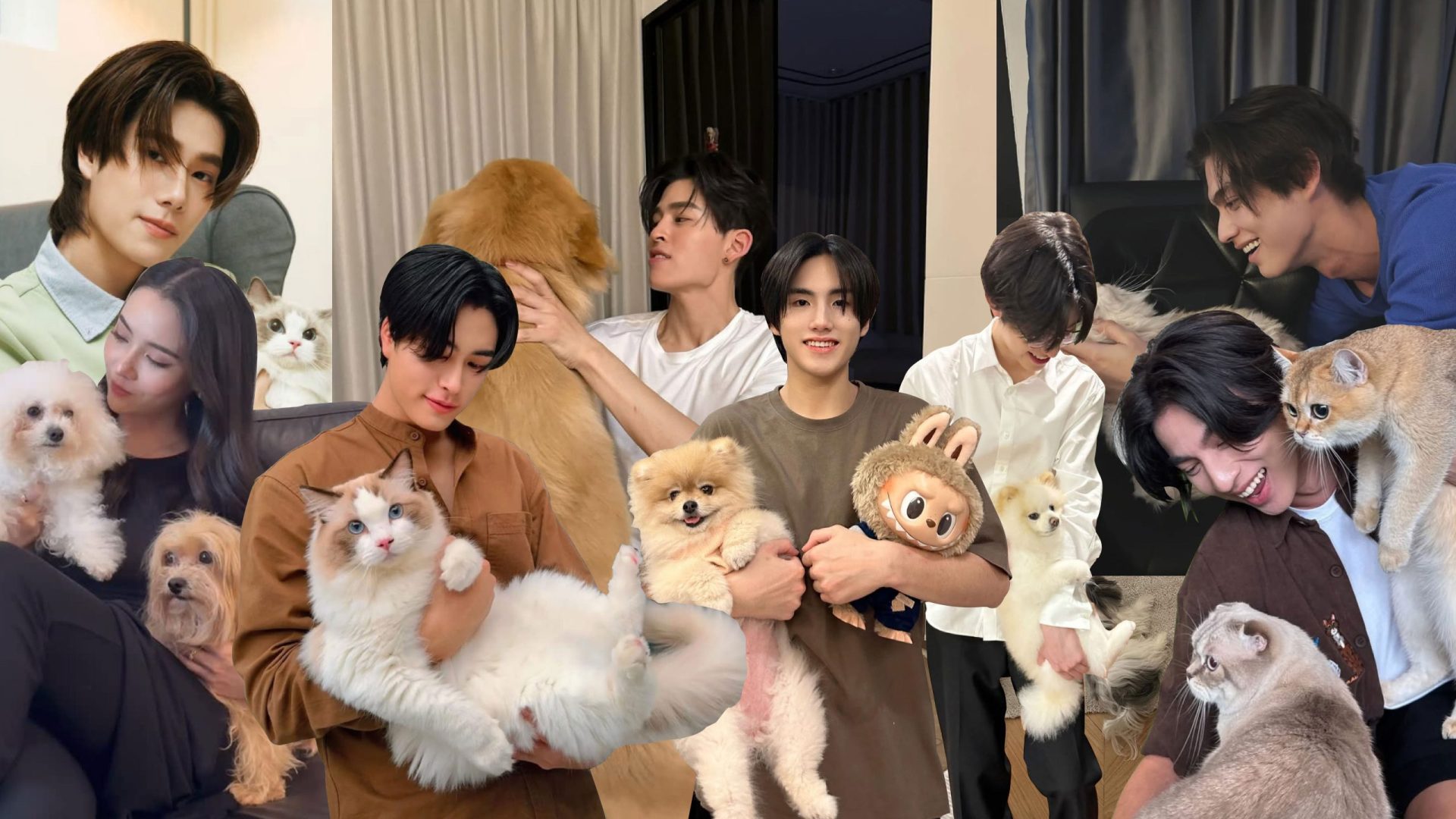 Celebrity Pets feature2