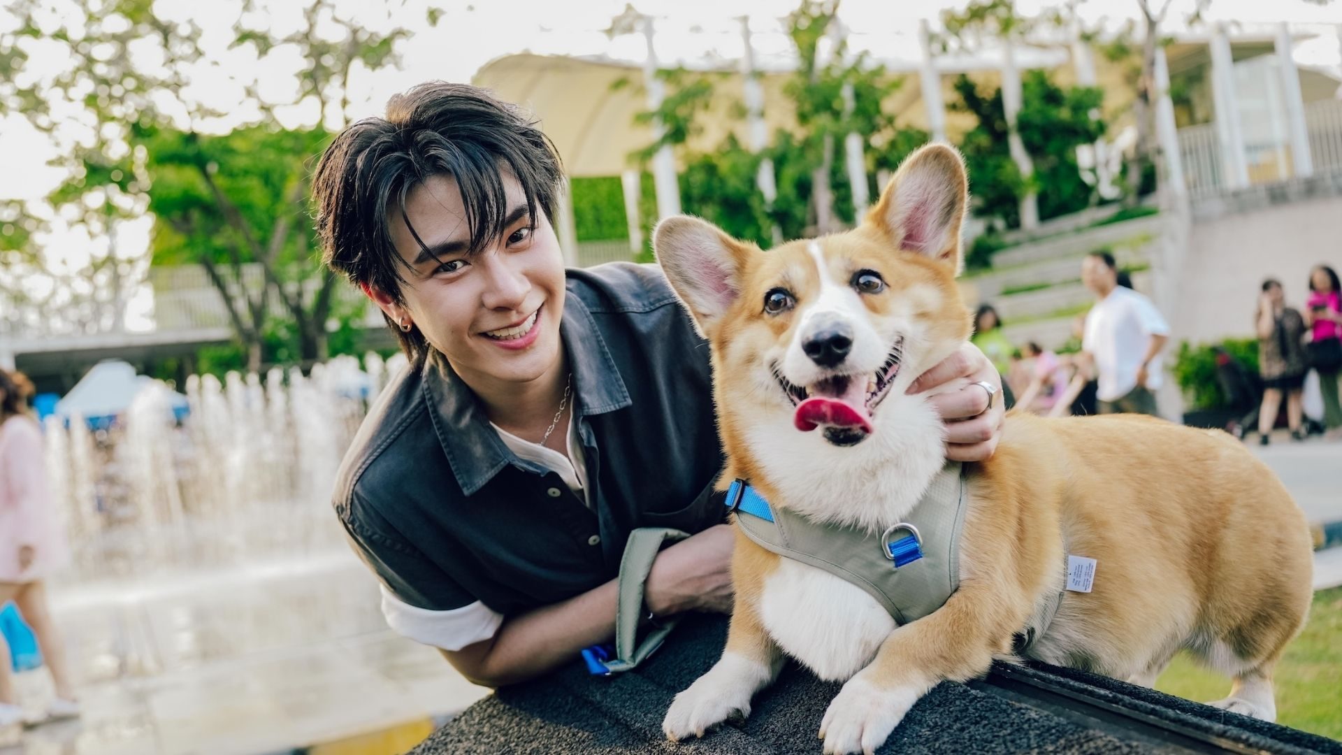 mega pet day feature