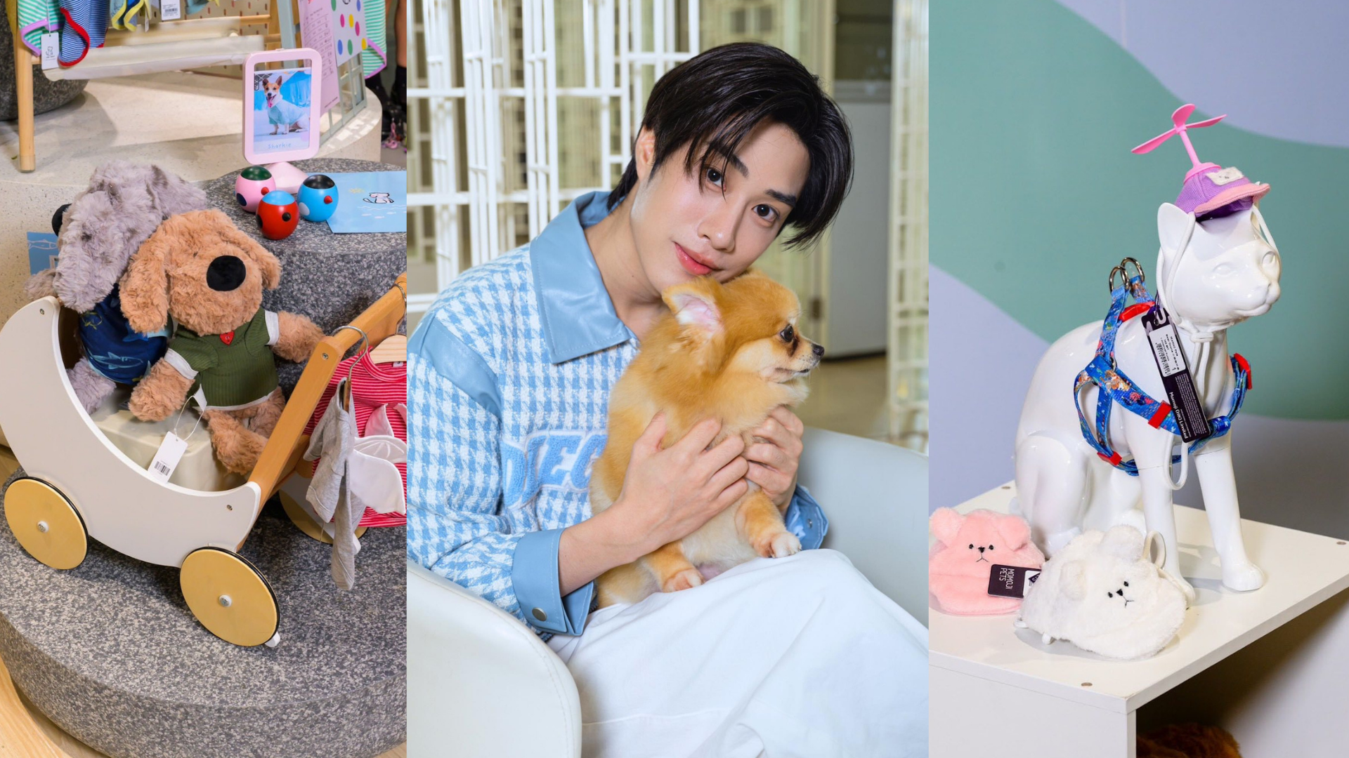 พื้นที่สัตว์เลี้ยงในห้าง feature