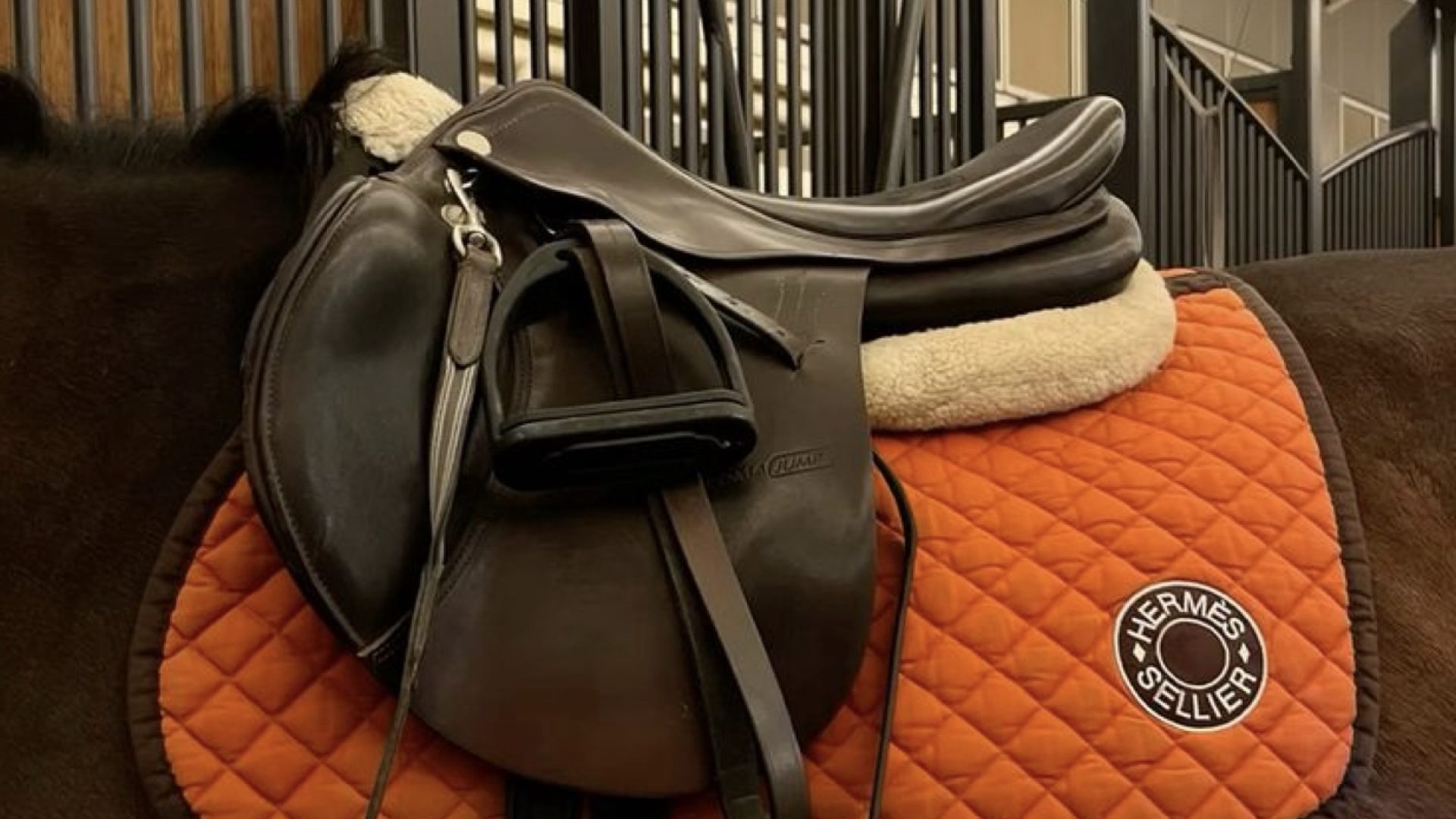 ‎From the Roots of Equestrian.‎001