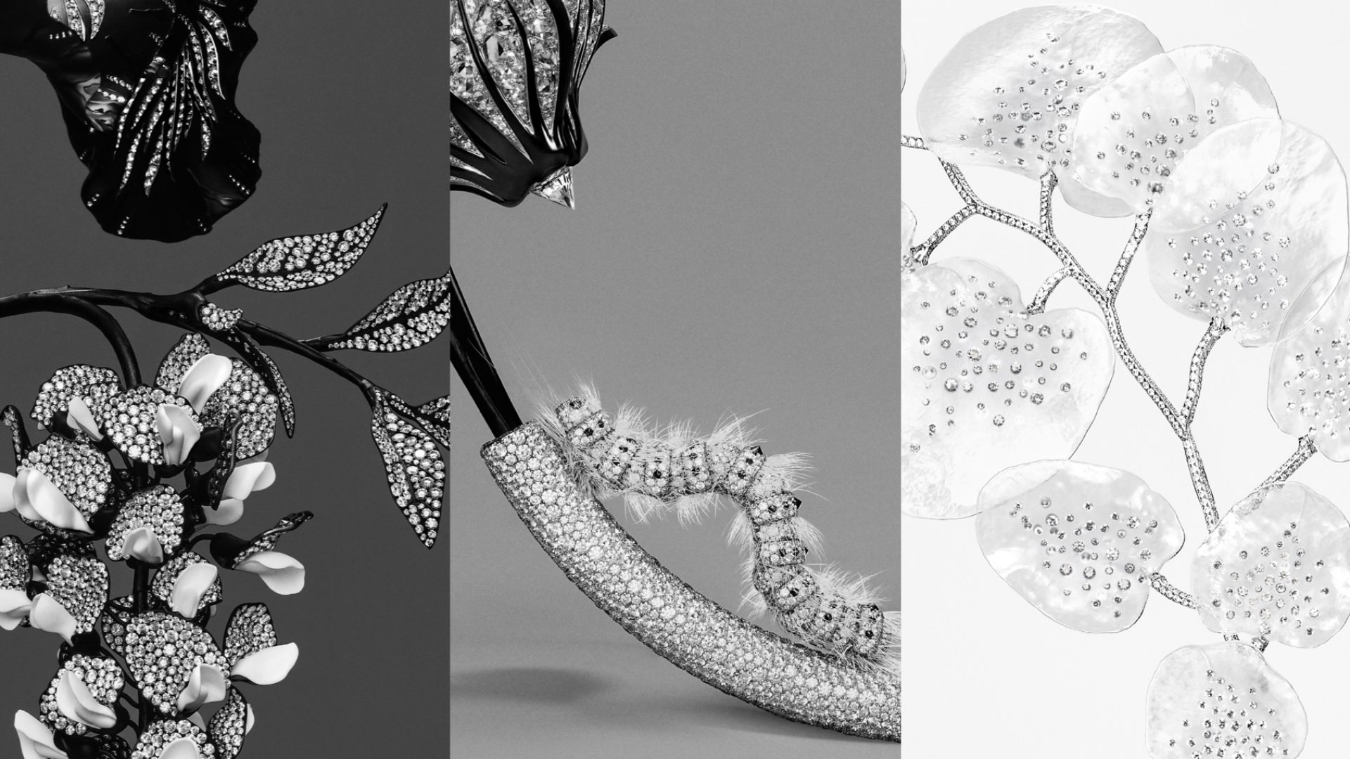 ‎boucheron1.‎001