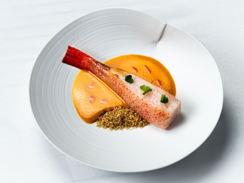 World Gourmet Festival 2025