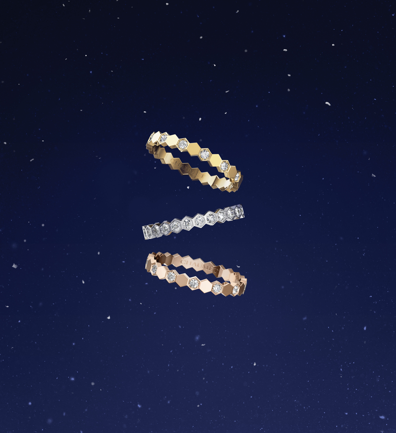 25_HOL_S_KV_SL_BEE_NA_RING_1_RVB_JPEG