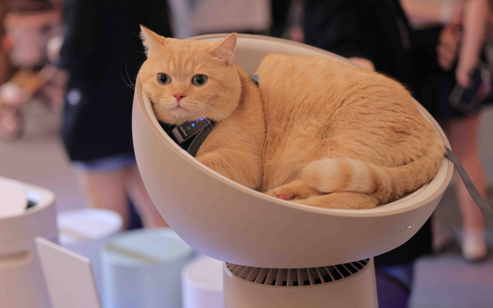 LG PuriCare AeroCat Tower 05