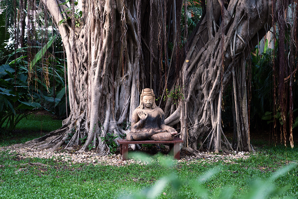 Chiva-Som Hua Hin_Garden (3)