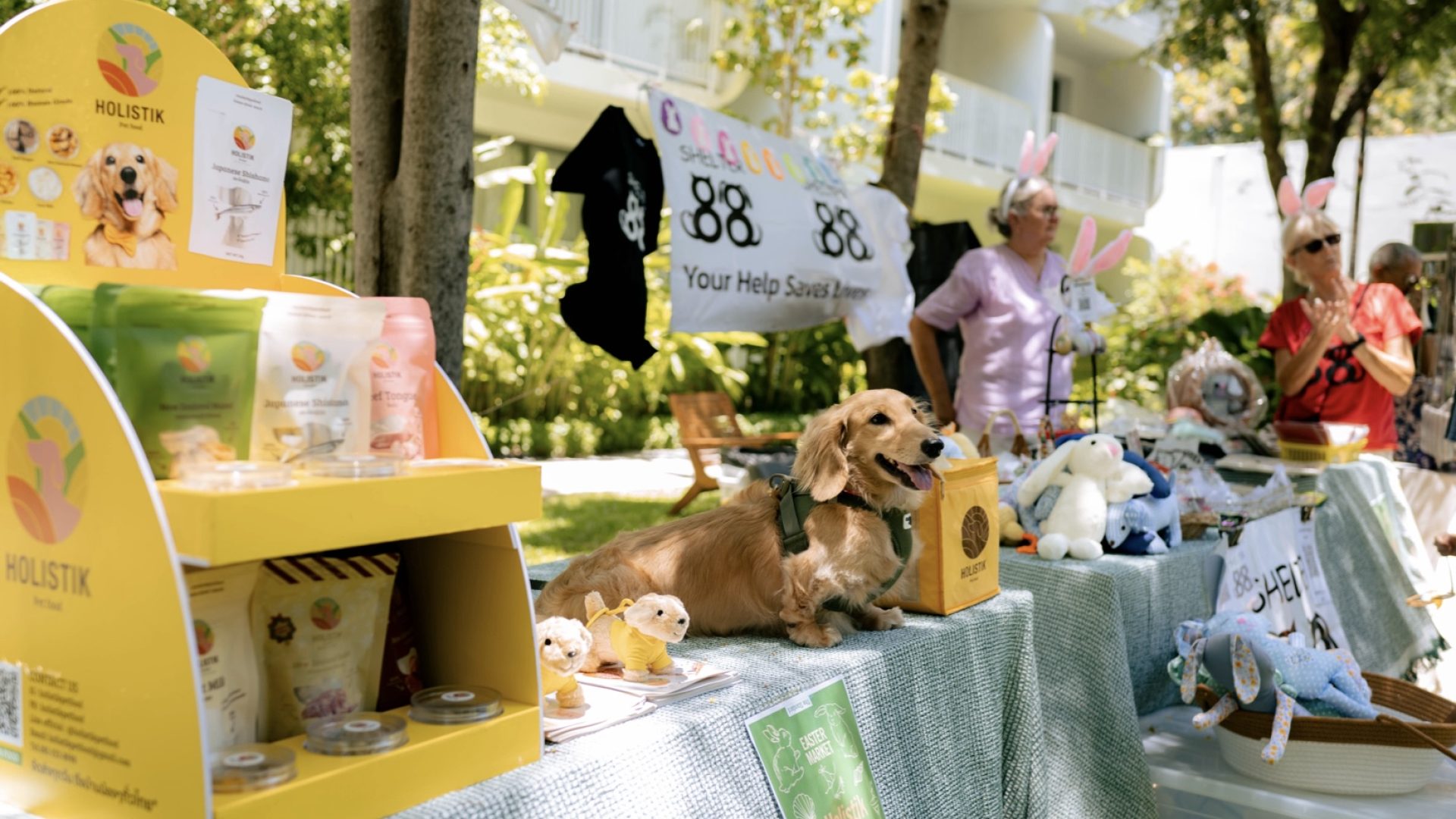 homehashtaglegendpublic_htmlthwp-contentuploads202509‎pet-week-at-the-standard-hushin.‎001-1.jpeg
