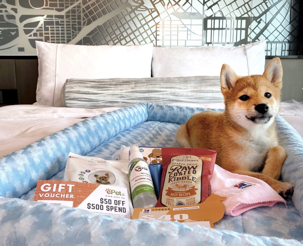 12 Best Pet-Friendly Hotels in Hong Kong for a “Paw-some” Staycation -  Klook Travel Blog