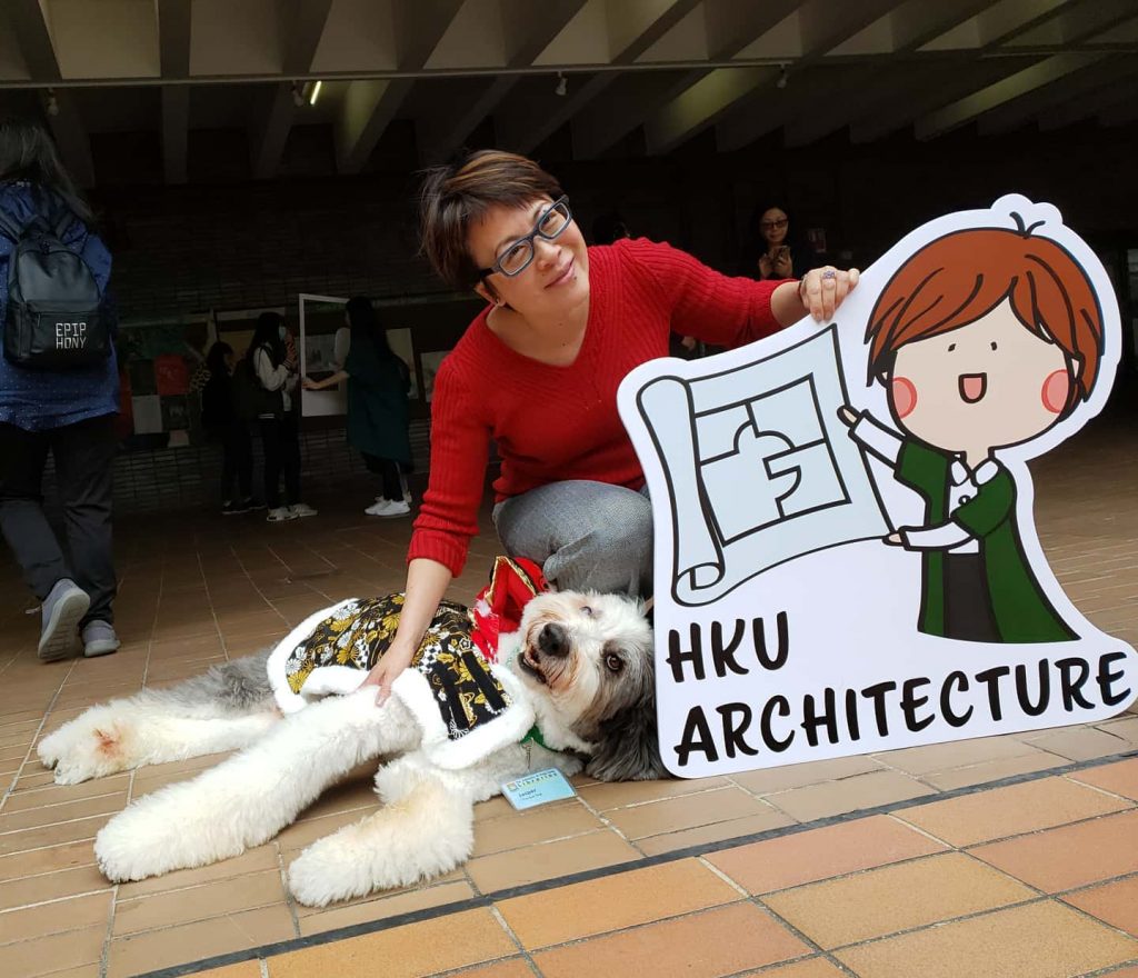 jasper hku therapy dog 2