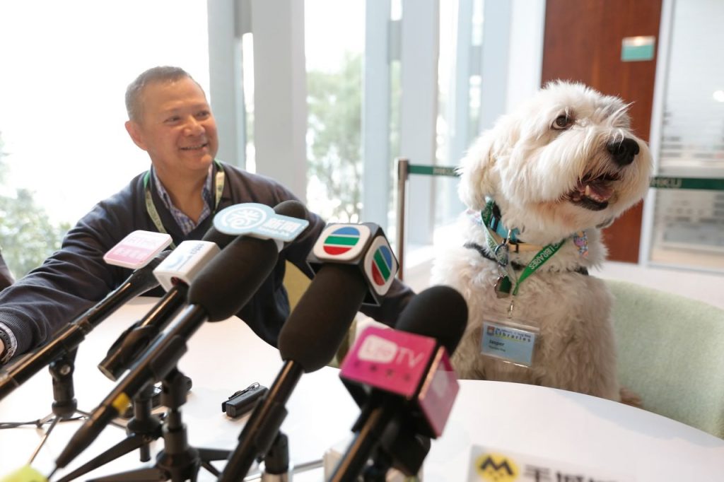 therapy dog jasper microphones hku