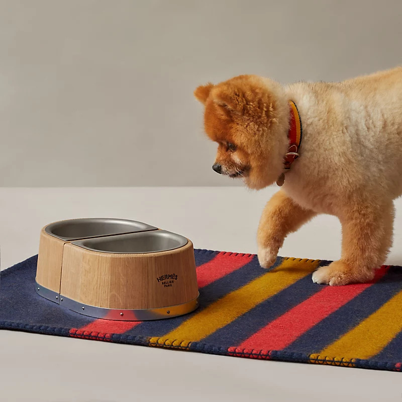 Colourful Luxury Accessories Created for Dogs and People who love them
