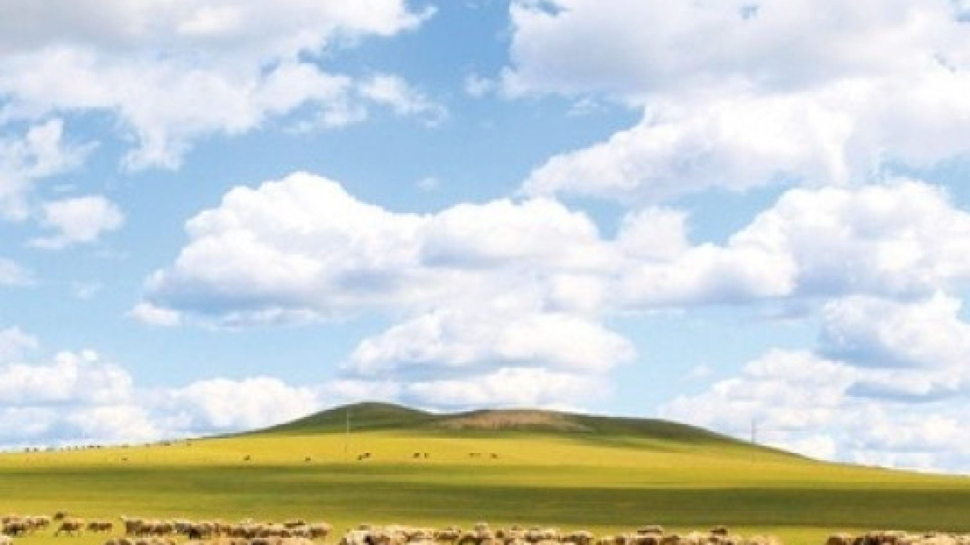 12869_12870.jpg