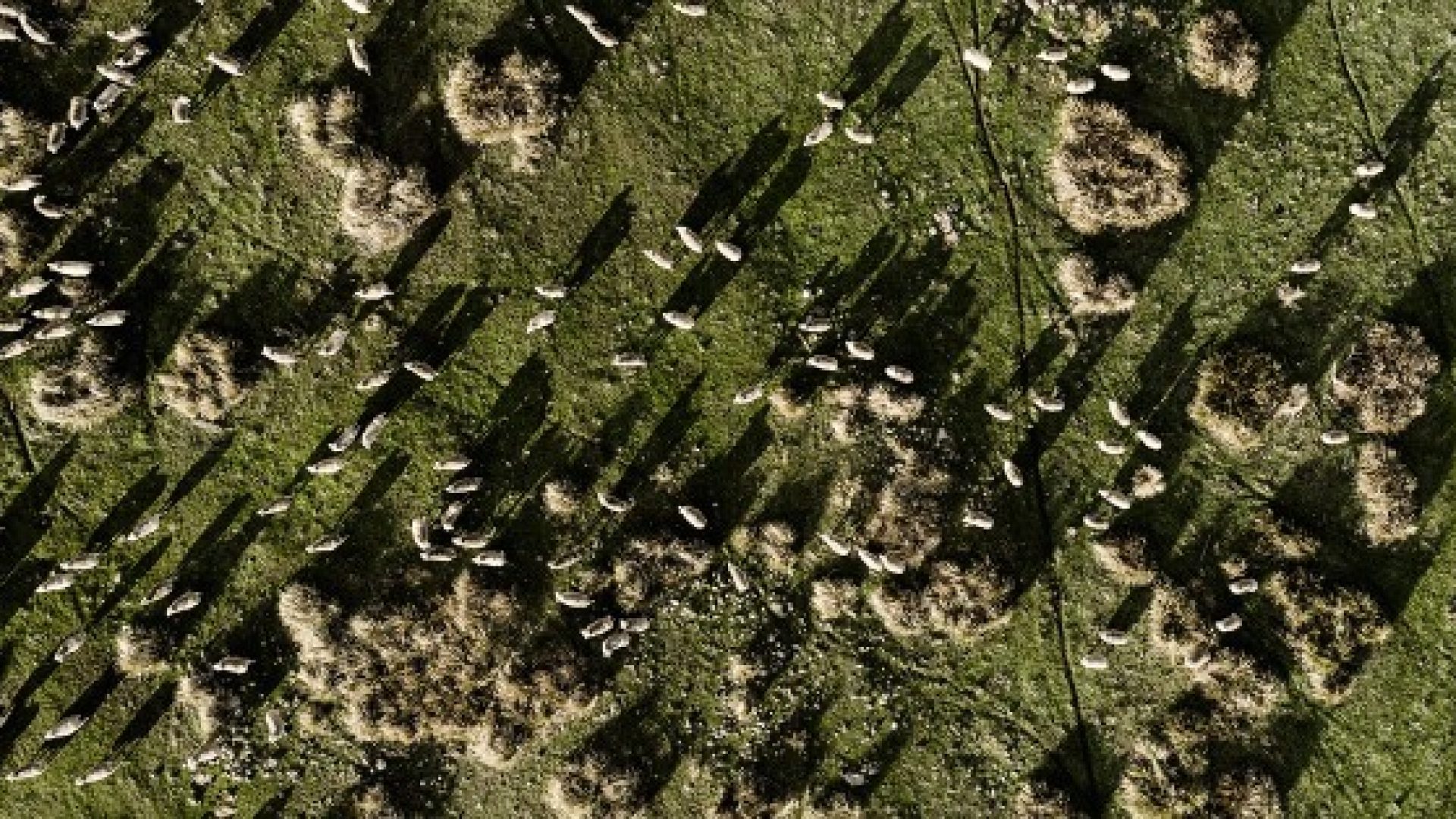 16777_16778.jpg