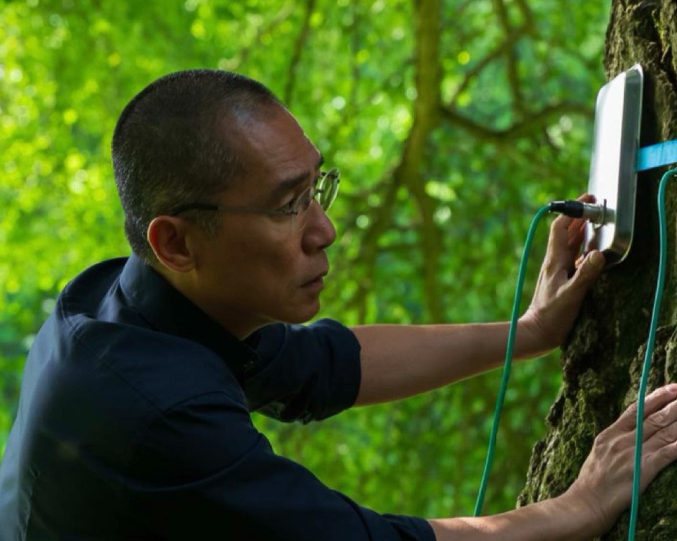 6cbc376e-9b9b-475b-966f-d7387e97a5ea