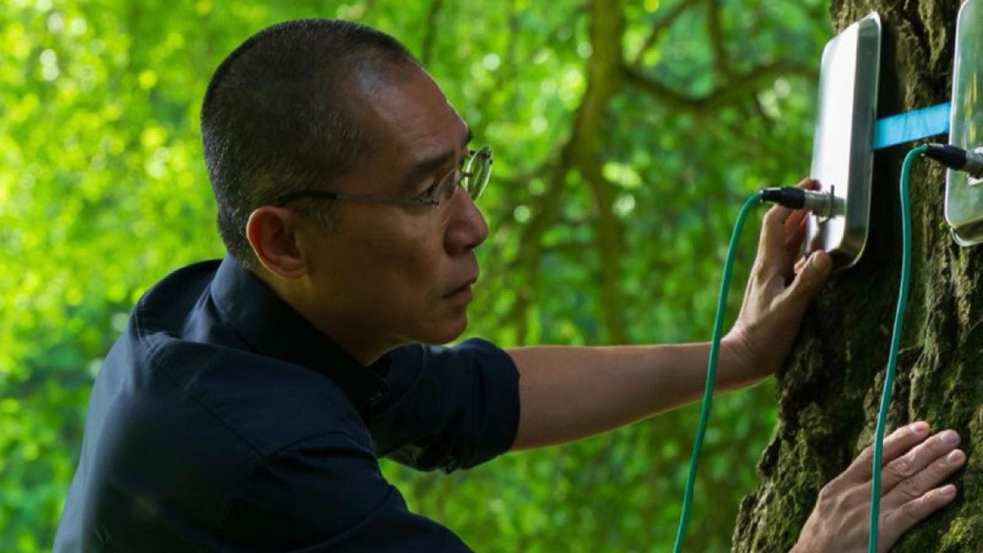 6cbc376e-9b9b-475b-966f-d7387e97a5ea