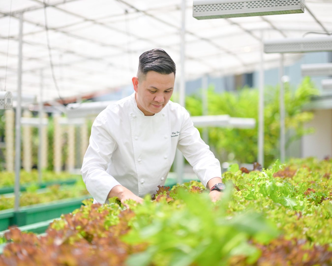 Aquaponics Farm_Chef Roy