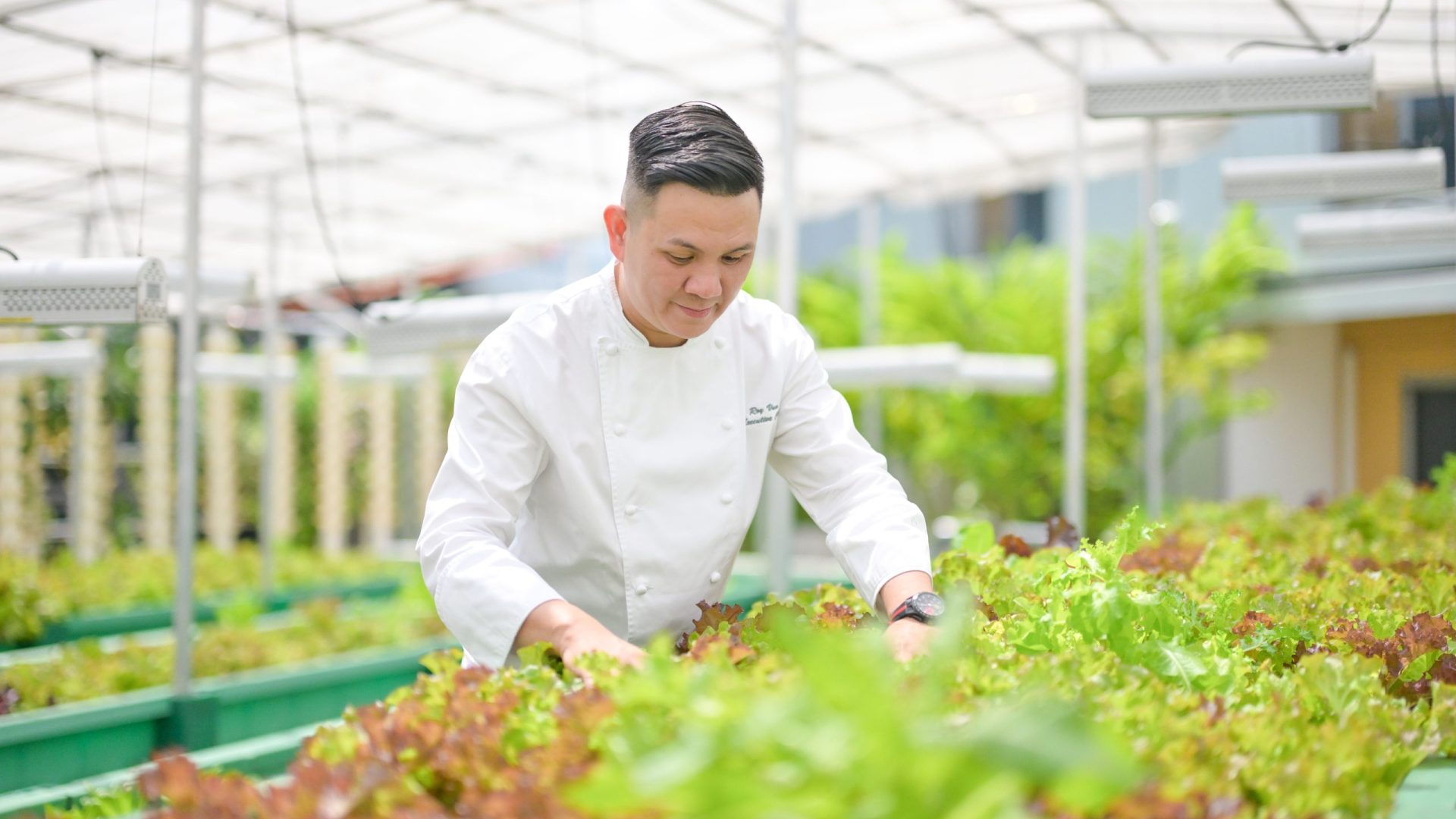 Aquaponics Farm_Chef Roy